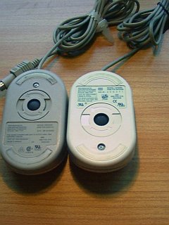 Underside Differences